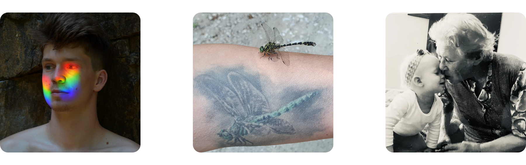 Zmagovalne fotografije